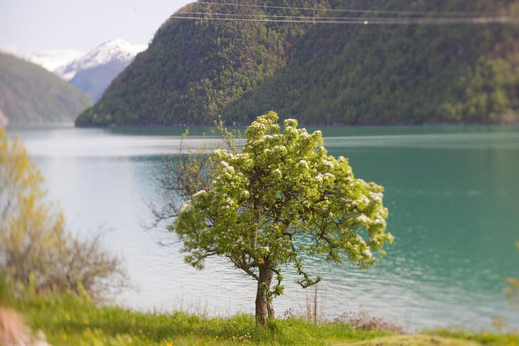 Dragsvik Fjordhotel (Adults Only) Balestrand Exterior photo